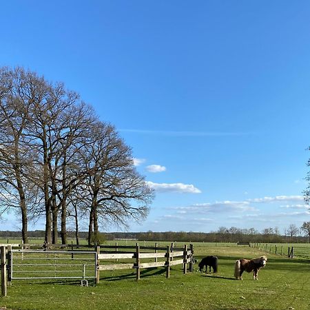 Ferienhof Westermann Waldblick Lähden Eksteriør billede
