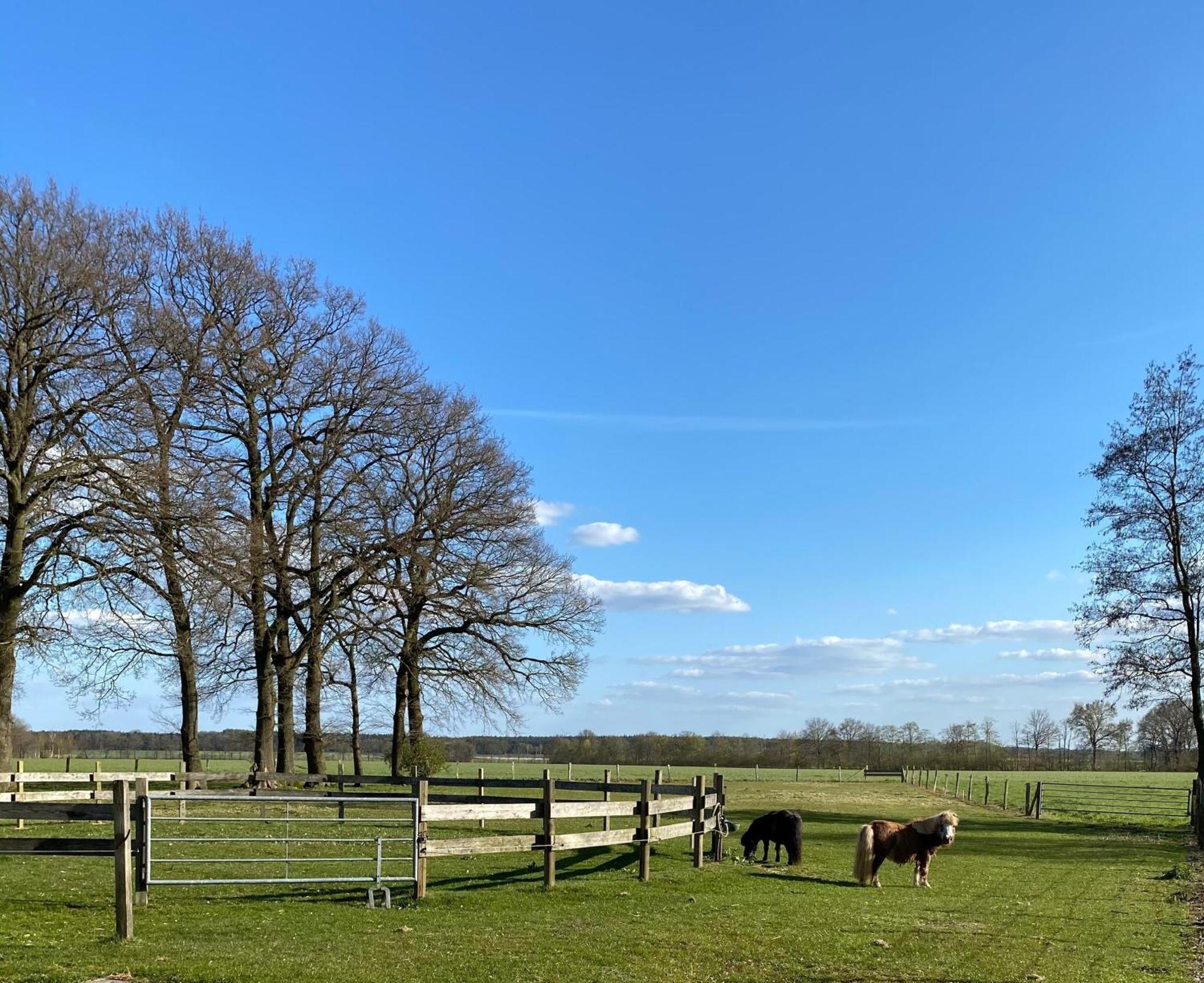 Ferienhof Westermann Waldblick Lähden Eksteriør billede